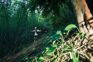 BIB: 
                            <button type="button" onclick="openModal(28124228)" class="btn btn-primary btn-sm float-right btn-popup" data-toggle="modal" data-target=".modal-high-quality">
                        <i class="fas fa-shopping-cart"></i> Add to Cart
                    </button>
                                            <button type="button" onclick="isThisMe(28124228, true)" class="btn btn-success btn-sm float-right btn-popup btn-isme hidden" data-toggle="tooltip" data-placement="bottom" title="นี่คือรูปของคุณใช่ไหม คลิกที่นี่เพื่อเอาเข้าอัลบั้ม">
                        <i class="fas fa-plus"></i> Add to album
                    </button>
                    <button type="button" onclick="isThisMe(28124228, false)" class="btn btn-warning btn-sm float-right btn-popup btn-isnotme hidden">
                        <i class="fas fa-ban"></i> Remove from album
                    </button>